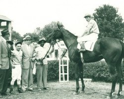 broodmare Doubledogdare xx (Thoroughbred, 1953, from Double Jay xx)