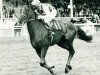 broodmare Dahlia xx (Thoroughbred, 1970, from Vaguely Noble xx)