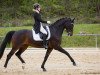 dressage horse Betty Barkley 2 (Westphalian, 2008, from Biasini)