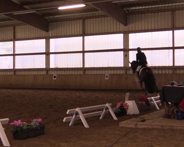 16. Hallen-Dressurturnier Werdohl-Rentrop 2016