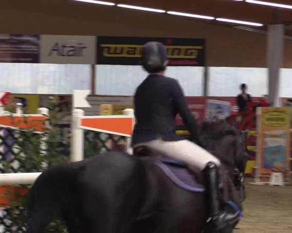 Springturnier Isterberg 2016