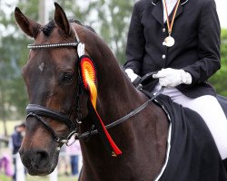 Dressurpferd Casper Von Hickingen (Westfale, 2006, von Chico's Boy)