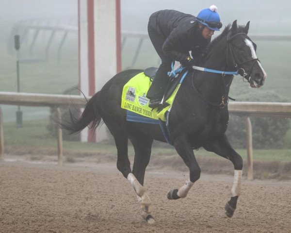 horse Long Range Toddy xx (Thoroughbred, 2016, from Take Charge Indy xx)