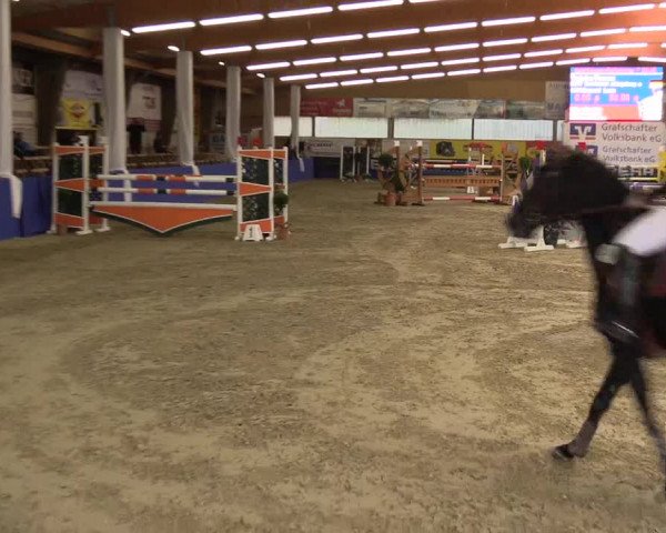 Springturnier Isterberg 2016