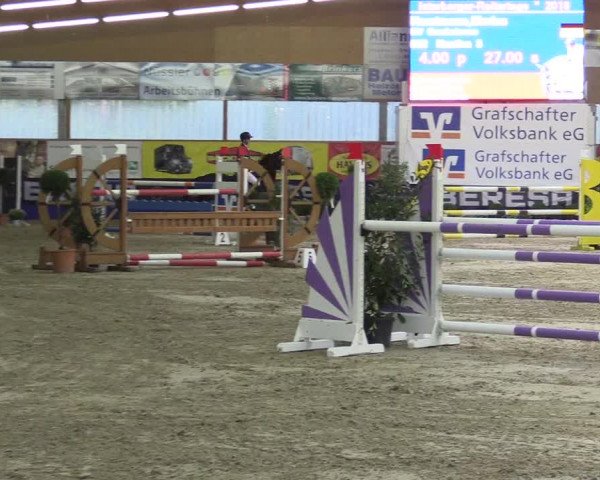 Springturnier Isterberg 2016