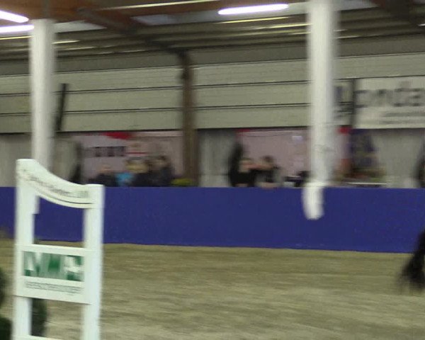 Springturnier Isterberg 2016
