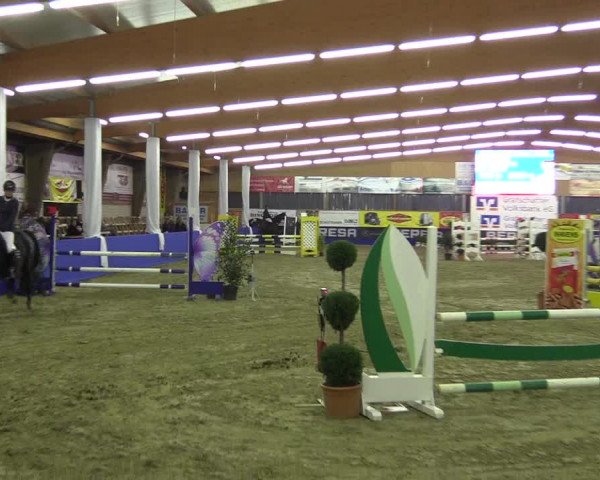 Springturnier Isterberg 2016