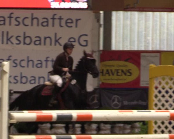 Springturnier Isterberg 2016