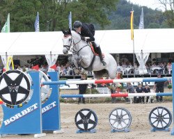 Springpferd Deep Blue Bridge S (KWPN (Niederländisches Warmblut), 2008, von Zirocco Blue)