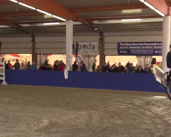 Springturnier Isterberg 2016