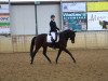 dressage horse Tilda 9 (Trakehner, 2013, from Hibiskus)