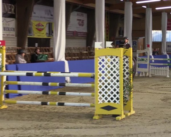 Springturnier Isterberg 2016
