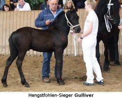 broodmare Viki von Holzhausen (Friese, 2006, from Ruben Martin)