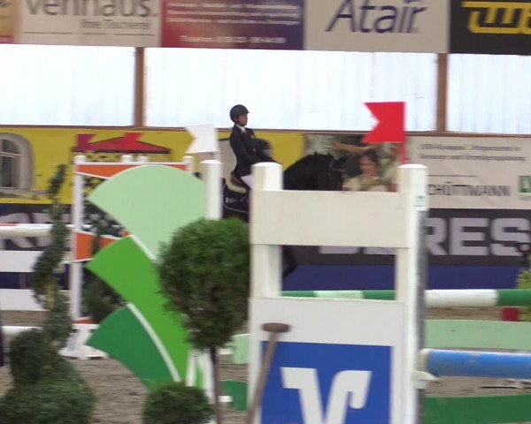 Springturnier Isterberg 2016