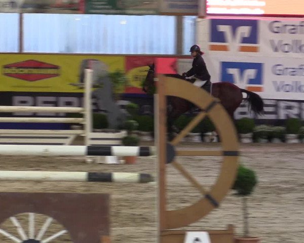 Springturnier Isterberg 2016