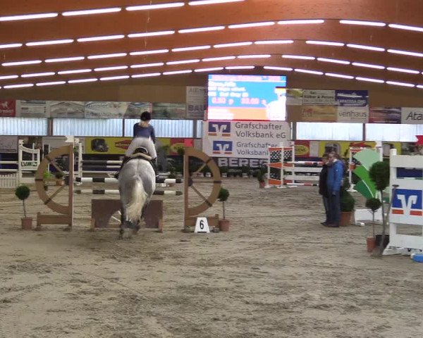Springturnier Isterberg 2016