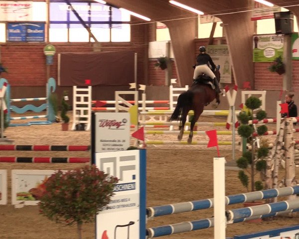 Reineberger Reittage 2016