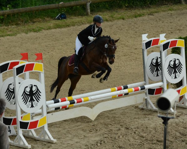 Dressurpferd Leikora S (Deutsches Reitpony, 2010, von Laudatio)