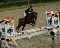 dressage horse Leikora S (German Riding Pony, 2010, from Laudatio)