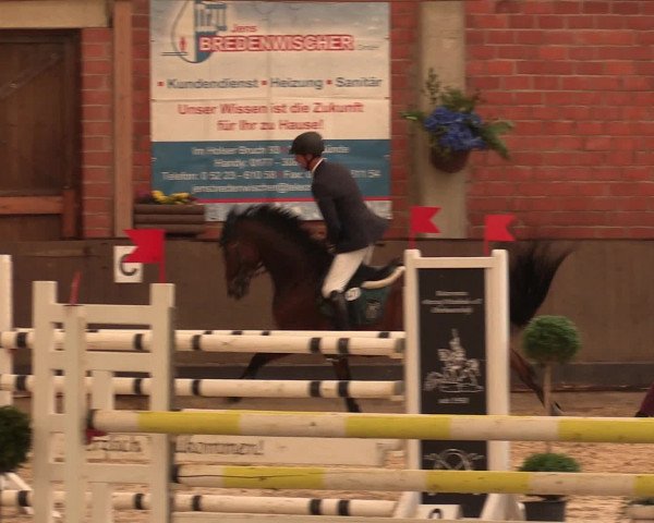 Reineberger Reittage 2016