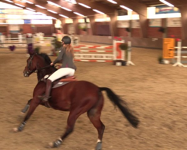 Reineberger Reittage 2016