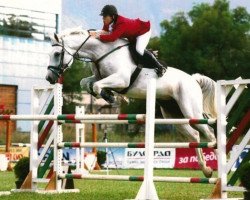 horse Jim Beam (Swiss Warmblood, 1999, from Roi des Landes)