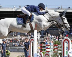 jumper Second Chance (Swedish Warmblood, 2008, from Carland)