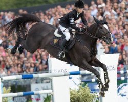 jumper Ego van Orti (Belgian Warmblood, 2004, from Vigo d'Arsouilles)