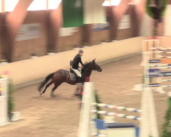 Springturnier Hövelhof 2016