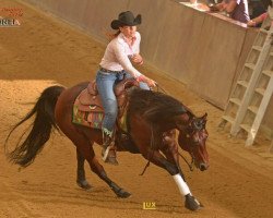 horse Hesa Smart Scotty (Quarter Horse,  )