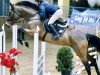 jumper Skyline 88 (Hanoverian, 2013, from Stakkato)