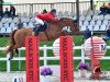 jumper Chabalou (Oldenburg show jumper, 2007, from Chacco-Blue)