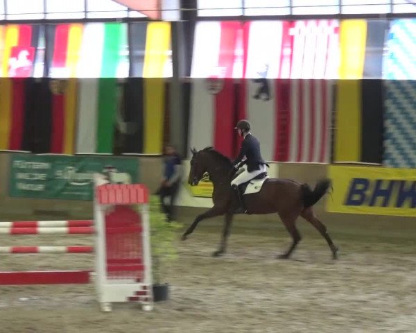 11. Große Bayer Springfestival 2016