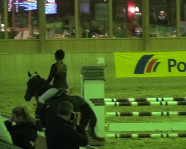 11. Große Bayer Springfestival 2016