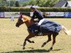 broodmare Fanny in Gold (German Riding Pony, 2001, from Rendezvous)