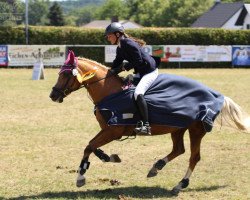 Zuchtstute Fanny in Gold (Deutsches Reitpony, 2001, von Rendezvous)