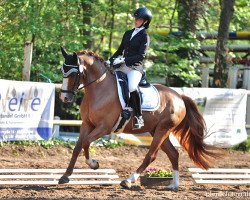 dressage horse Novaresh (German Riding Pony, 2015, from Fs Numero Uno)