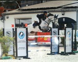 Springpferd Gindira Blue (KWPN (Niederländisches Warmblut), 2011, von Zirocco Blue)