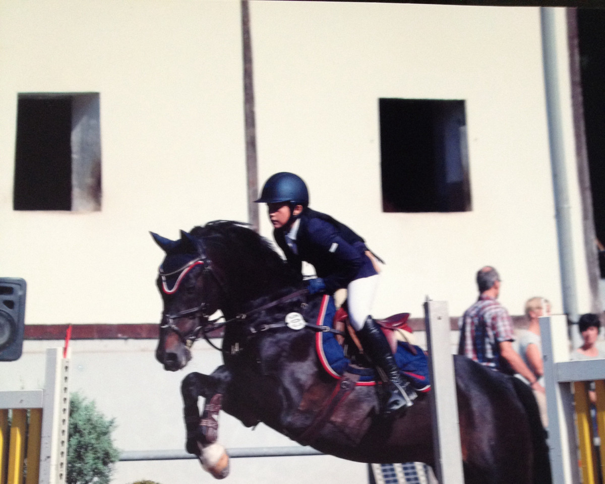 Deckhengst Ballentines (Deutsches Reitpony, 1994, von Boss)