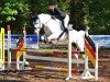 dressage horse Lescador M (Zweibrücken, 2009, from Leviathan)