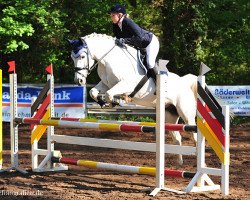 dressage horse Lescador M (Zweibrücken, 2009, from Leviathan)