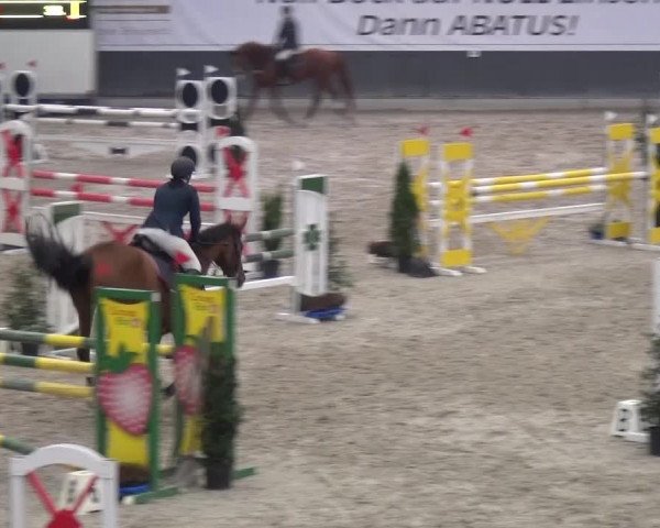 Reitturnier Mönchengladbach-Abtshof 2016