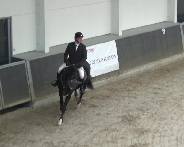 Reitturnier Mönchengladbach-Abtshof 2016