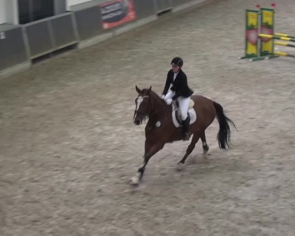 Reitturnier Mönchengladbach-Abtshof 2016