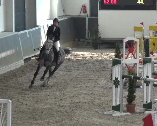 Reitturnier Mönchengladbach-Abtshof 2016