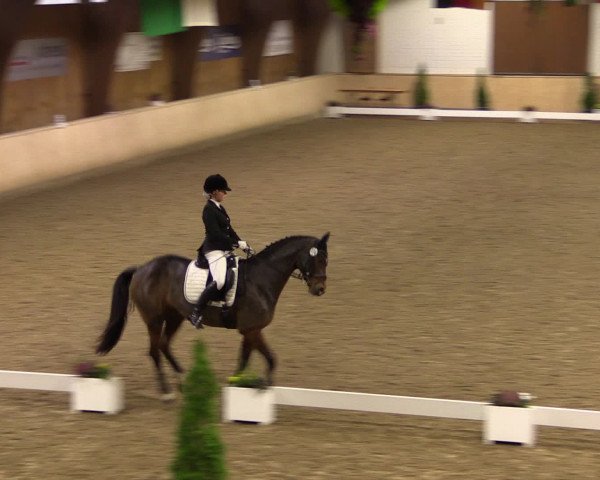 Dressur- und Jugendturnier Hövelhof 2016