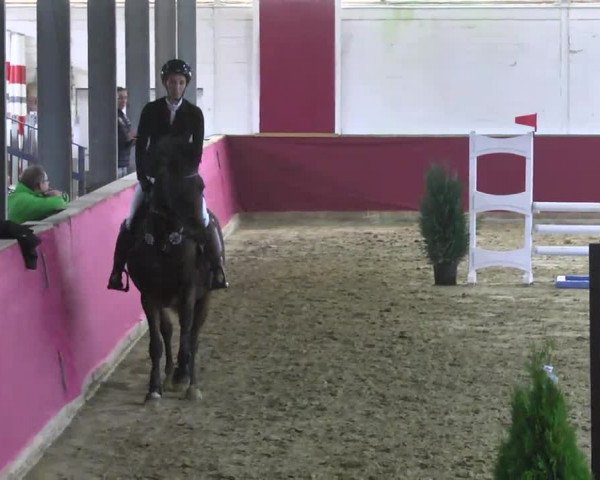Reitturnier Trier - Hofgut Monaise 2016