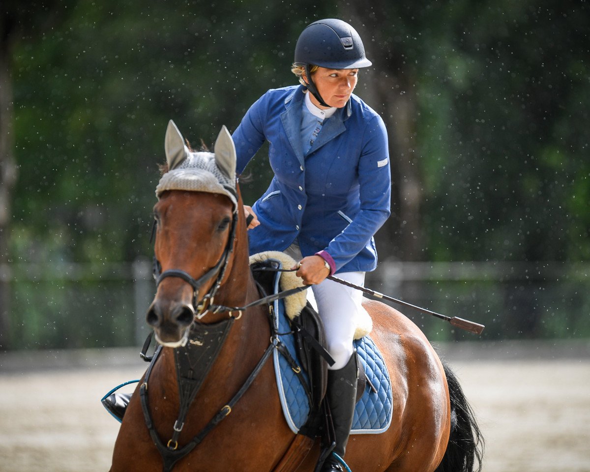 jumper Calhi du Thal (Selle Français, 2012, from Iolisco de Quinhon)