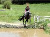 eventing horse Bonne Surprise (Hanoverian, 2014, from Bon Bravour)