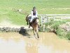 jumper Oileán Salt (Irish Sport Horse, 2006)